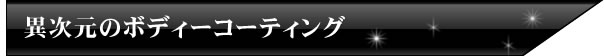 異次元のボディーコーティング